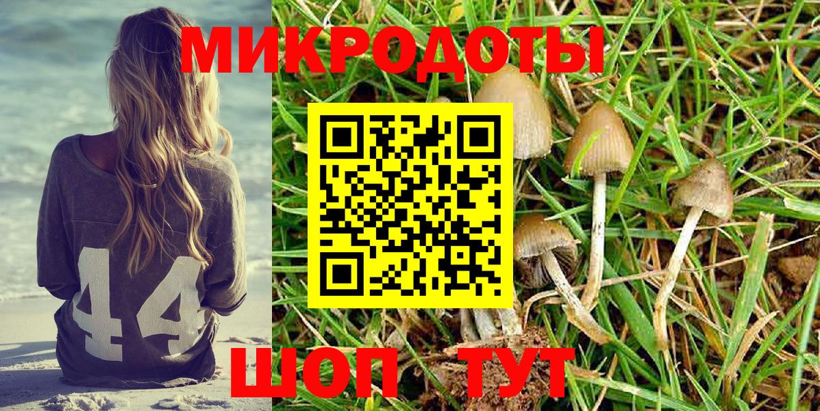 Краснодар  Псилоцибиновые грибы Cubensis  Вход с VPN 
